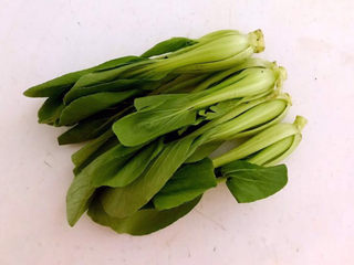 5、油菜豆腐,非常新鲜的小油菜