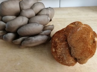 1、蘑菇炒肉,平菇，猴头菇。