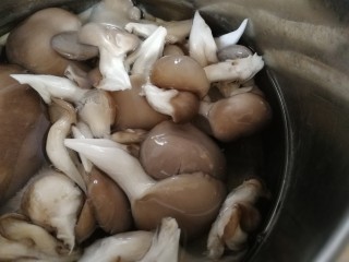 2、蘑菇炒肉,平菇摘小朵，清水洗干净，放入开水里焯水1-2分钟。