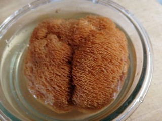 4、蘑菇炒肉,猴头菇温水里泡发20分钟，芯里完全泡软，把黄水攥出来，清水洗干净。