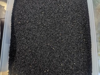 5、阿胶糕,准备黑芝麻