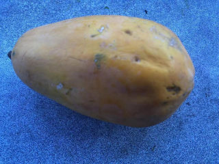 1、木瓜炖牛奶,选购一个比较熟的木瓜。