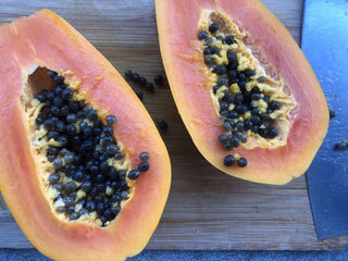 2、木瓜炖牛奶,一分为二,一半稍微大一些,可以当盛器使用。