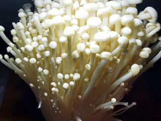 1、蚝油金针菇,金针菇