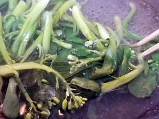 6、蚝油金针菇,芥兰下水汆烫熟，捞出备用