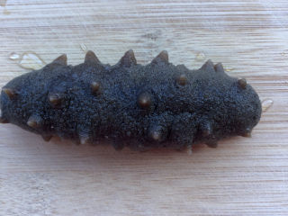 2、蔬菜海参粥,拿出来自然解冻。