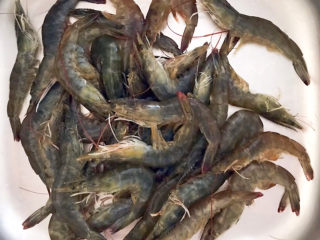 1、白灼大虾,把鲜活的海虾清洗干净