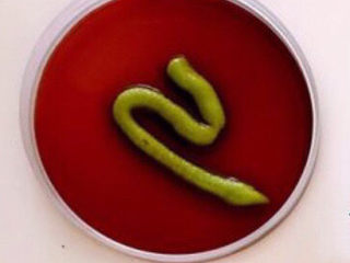 12、白灼大虾,把芥末挤到盘里，加入酱油