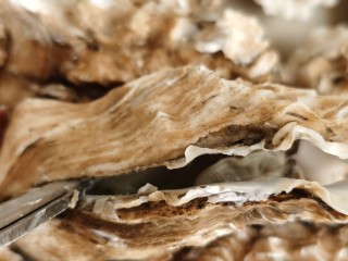 2、牡蛎炒蛋,为求新鲜我买了带壳的牡蛎，老板特意教了给生牡蛎开壳的方法：用刀子从牡蛎窄的一面的尾端缝隙中插入，将刀左右转动并深入牡蛎中稍一用力，听见“啪”的一声，海蛎子壳就打开了。