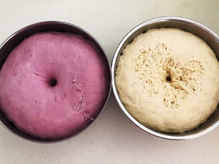 8、紫薯小馒头,两个面团饧发好了