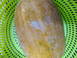 1、焦糖南瓜布丁,挑选熟南瓜洗净。