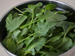 1、凉拌菠菜,新鲜的菠菜去除根部。