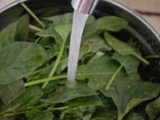 2、凉拌菠菜,冲洗几遍，洗去沙和杂质。