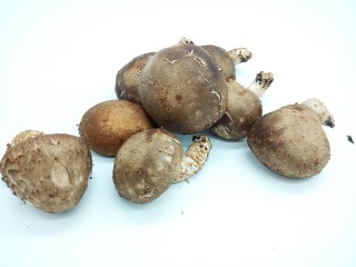 3、#咸味#海鲜香菇年糕汤,新鲜的香菇也来一点