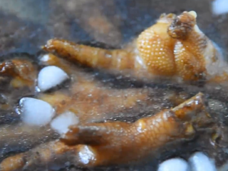 7、茶餐厅的厨师是怎么做豆豉凤爪的？,捞起放入冰水起激起皱皮