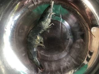2、花式摆盘,鲜甜白灼虾,剪去虾须。