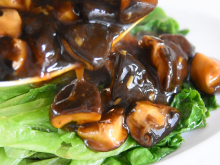 11、生菜就要这样做，美味下饭又不失营养,将生菜打入盘中，淋上香菇即可