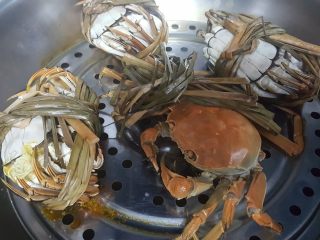 10、清蒸大闸蟹,10.这时螃蟹也蒸好了，有一只螃蟹挣扎了好久，但是他也没逃脱被蒸熟的厄运。嘎嘎