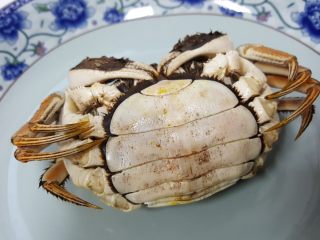 14、清蒸大闸蟹,14.蒸好的螃蟹胖鼓鼓的好肥哟。螃蟹下身是半圆的为母如是尖的则是公.