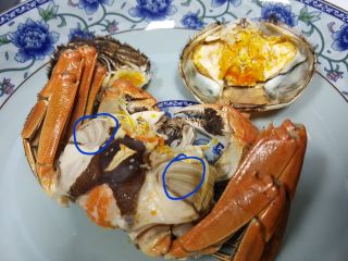 15、清蒸大闸蟹,16.将蟹身从中间掰开，你会看到一个扁的片是蟹心，这个也不可以吃。还有就是蟹盖上面，有一个像塑料袋一样的东西，这个是蟹胃也是不能吃的。