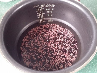 4、双糯米蒸饭包油条,倒入电饭煲加少许清水、水量比平时煮饭略少些，煮好的糯米饭颗粒分明、有劲道