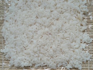 8、不拘一格吃寿司,将米饭平铺在保鲜膜上，记住按压整齐哦。