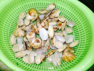 7、香辣花甲,放入清水里。拿着花甲，用流动水一个一个的把肉里面的沙子冲洗干净！这步要细心，不然吃的时候就会有沙子！