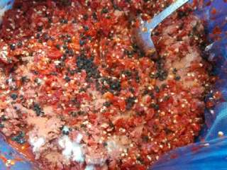 3、自制辣椒酱,倒入上述用量的盐，花椒，搅拌均匀。