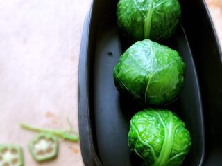 21、日式手鞠壽司飯團,緑綠的好可愛