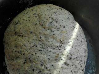 7、红糖芝麻包,发酵至两倍大。排出气体