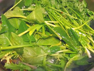 27、简单又粗暴的诱惑★麻辣香锅,最后把香菜，油麦菜，苦苣还有菠菜，放进去，最后把刚才焯好的豆芽等一起下锅。继续翻炒，让蔬菜和肉等均匀的吃到调料的滋味。ok！可以出锅了呢！