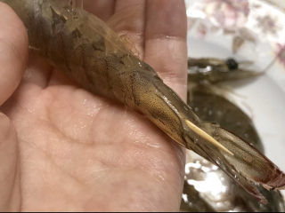 5、三文鱼寿司,家里有人不吃生鱼片，就再准备一些基围虾，为保持形状，戳一根牙签