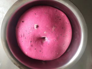 6、火之舞（火龙果）奶酪软欧包,室温25度下发酵一个半小时，面团两倍大，手指沾粉插孔，面团不塌陷，不回缩即可