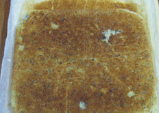 13、香蕉核桃蛋糕卷,撕下后，再放到油纸上，凉一会儿