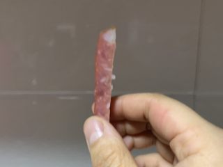 4、紫米寿司,肠