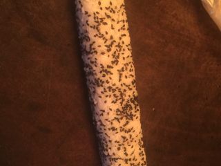 5、蟹籽寿司卷,卷起来