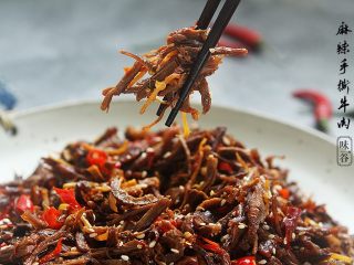 15、麻辣手撕牛肉,习惯性来个特写，色诱下亲们的视觉！