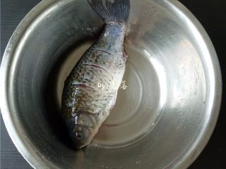 2、豆瓣鱼,将鲫鱼用清水冲洗干净;在鱼身两面各划3刀,再用适量盐、料酒腌制片刻;