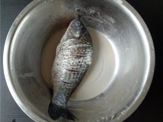 4、豆瓣鱼,鲫鱼用适量水淀粉抹匀;