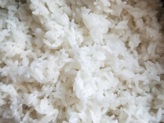 1、三文鱼寿司,米饭焖熟晾凉。