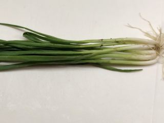 5、葱包烩儿,小葱去蒂，洗净