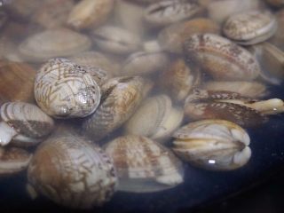 2、花甲丝瓜汤,花甲先放进盐水里浸泡,让其吐出一部分沙子