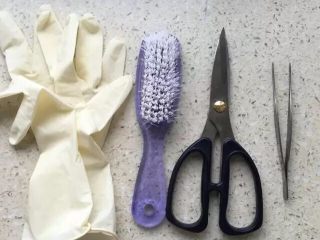 1、啤酒麻辣小龙虾,准备好清理工具：胶皮手套、长柄刷子、尖头剪刀和镊子。