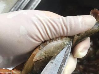 5、啤酒麻辣小龙虾,将龙虾头部两侧的虾壳剪掉1/3左右。（剪腮壳的时候，从头部向尾部方向剪比较好剪）