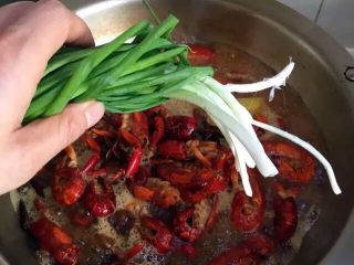 20、啤酒麻辣小龙虾,&nbsp;大火烧开后放入葱结。转中小火盖上锅盖焖煮10分钟。（火不要太大了，太大虾黄容易煮出来，也不能太小了）