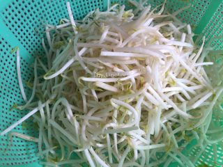 2、葱油拌馄饨,豆芽洗净待用