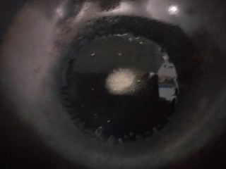 5、啤酒鸭翅根,热锅放糖，糖化成焦糖色。