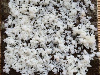2、招牌寿司,把饭弄到温热，加入少量盐和寿司醋拌匀，放在寿司海苔上铺好。