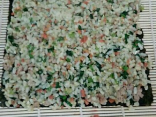 9、宝宝辅食青菜胡萝卜饭卷,寿司帘上放上寿司紫菜，上面铺匀炒好的青菜胡萝卜蛋炒饭，，卷起，切段，装盘，就可以了