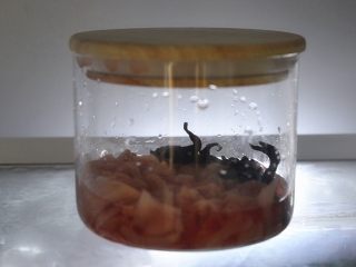 10、玫瑰子姜,放入密封罐中，腌制24小时